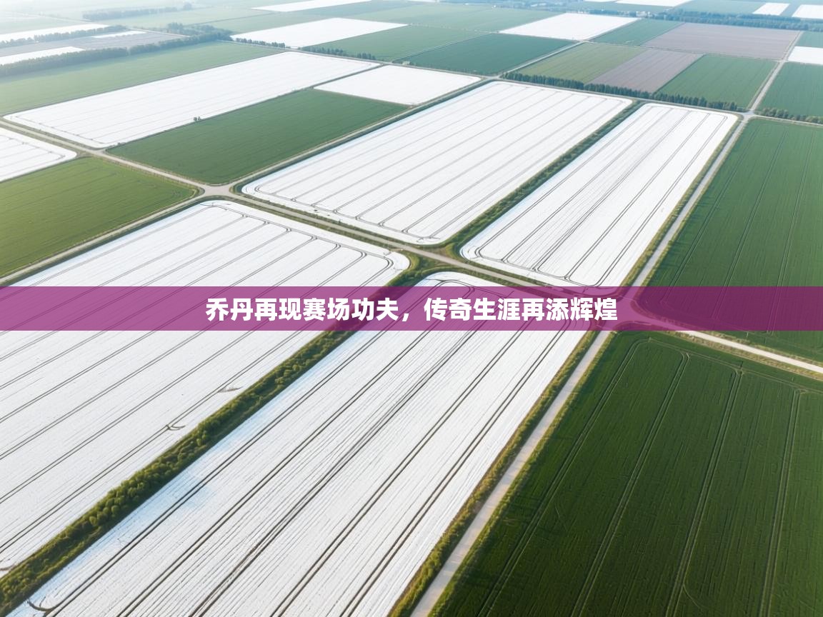 乔丹再现赛场功夫,传奇生涯再添辉煌 第2张