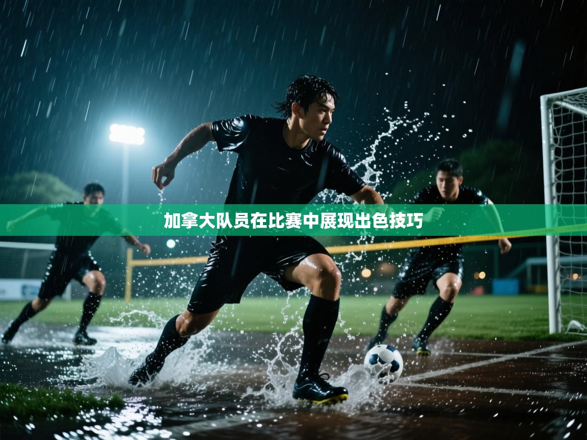 加拿大队员在比赛中展现出色技巧  第2张